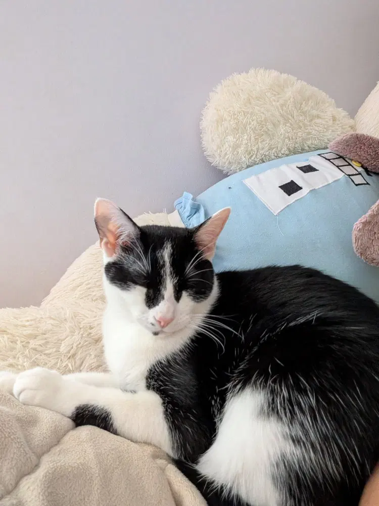 Minnie, photo 2