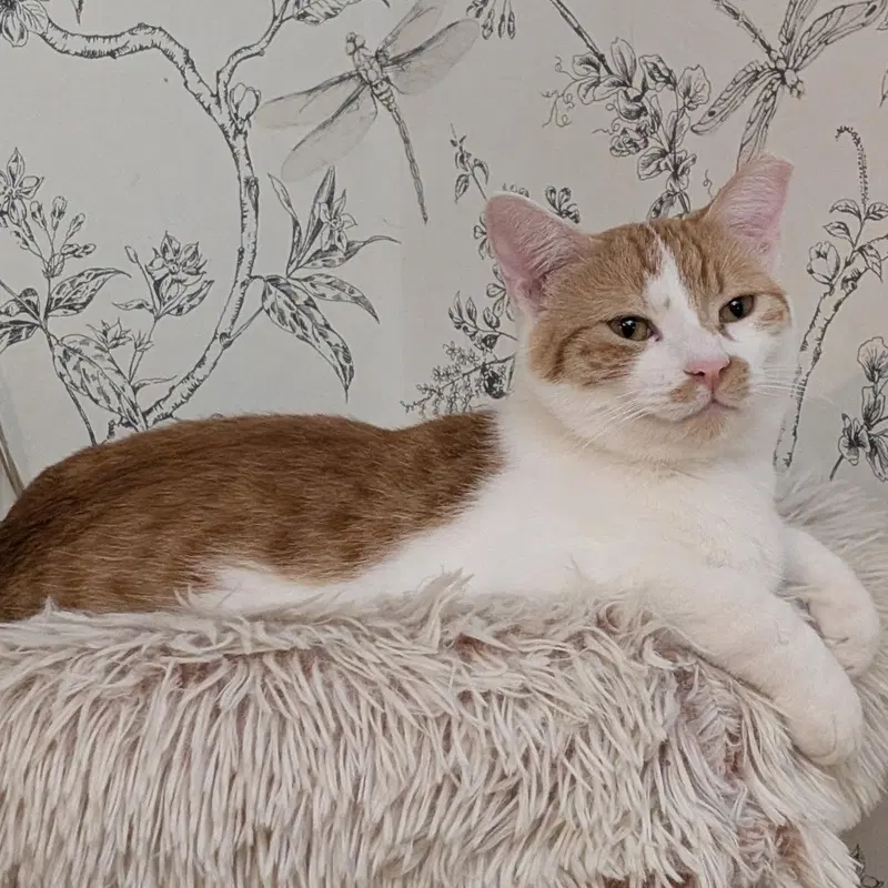 Fred, photo 2
