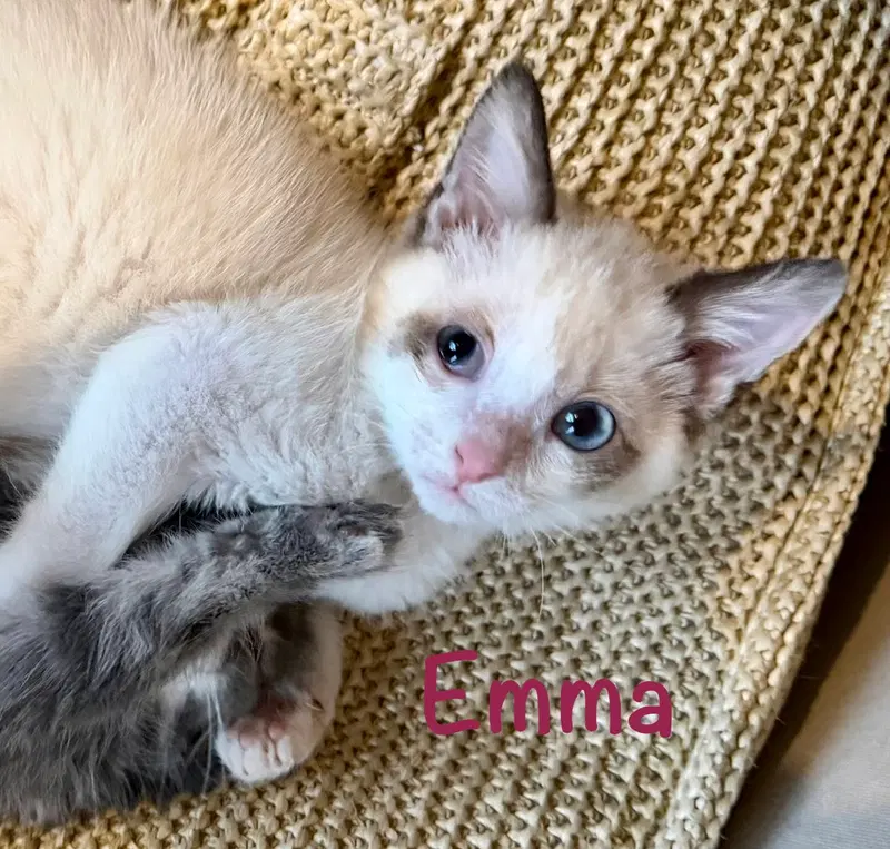 Emma, photo 2