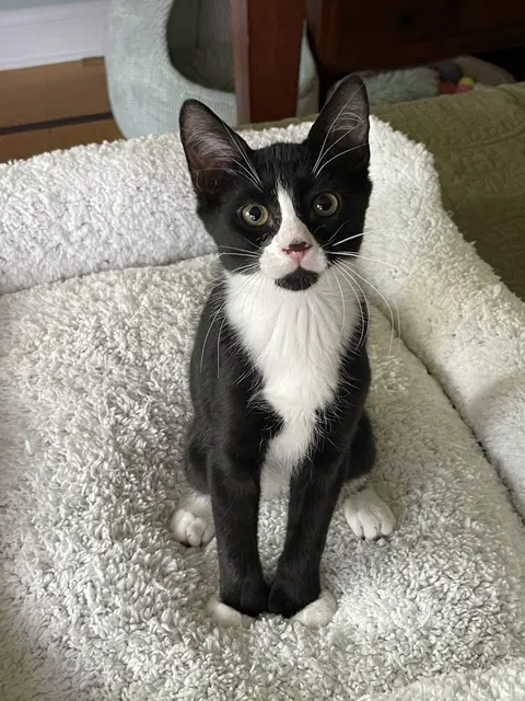 Watch the video of Rocky