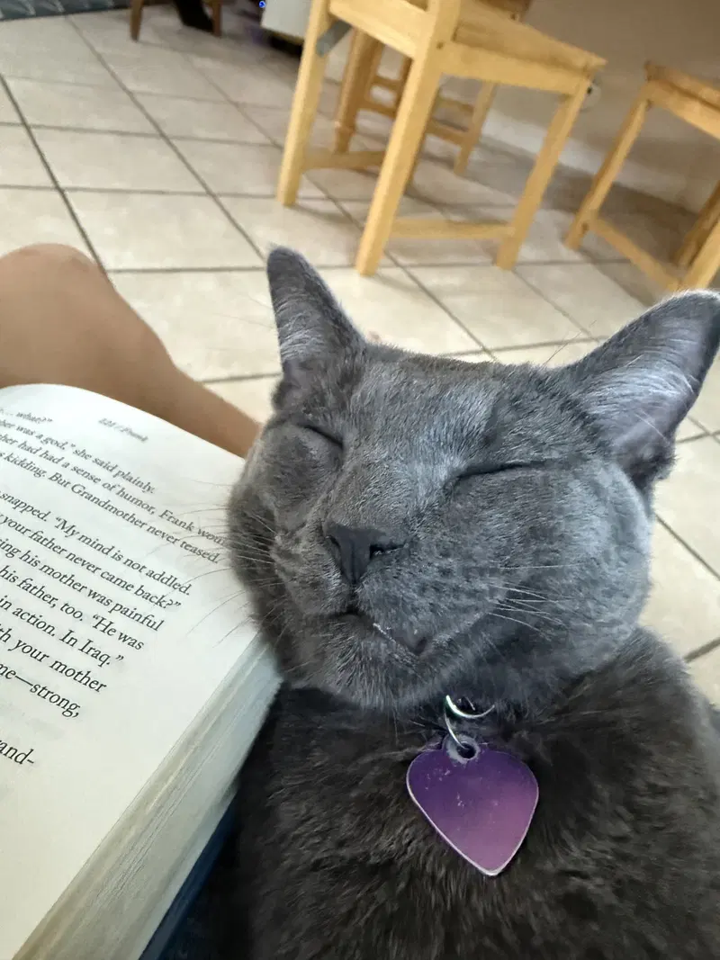 Luna, photo 3