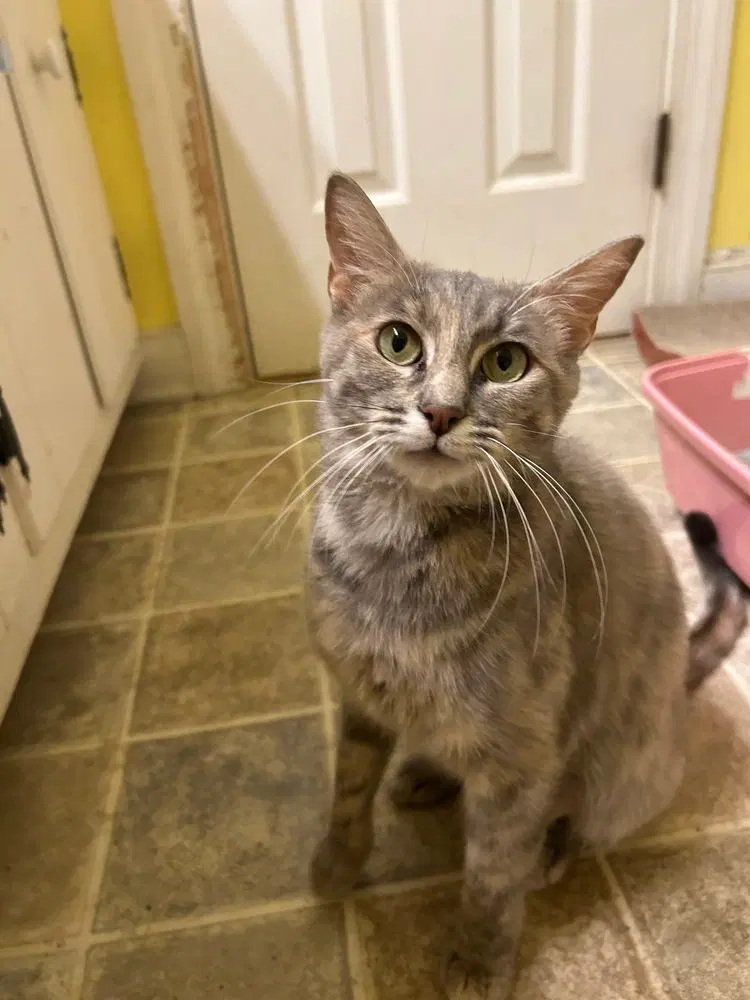 Fiona, photo 3