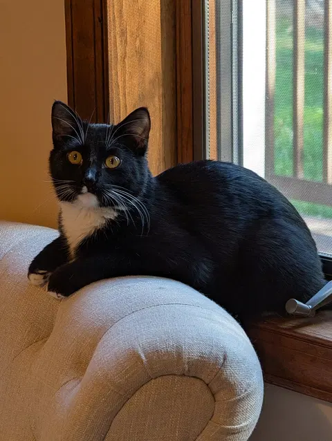 Watch the video of Coby