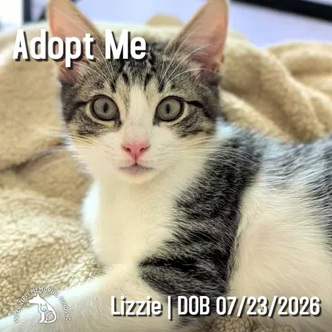 Watch the video of Lizzie