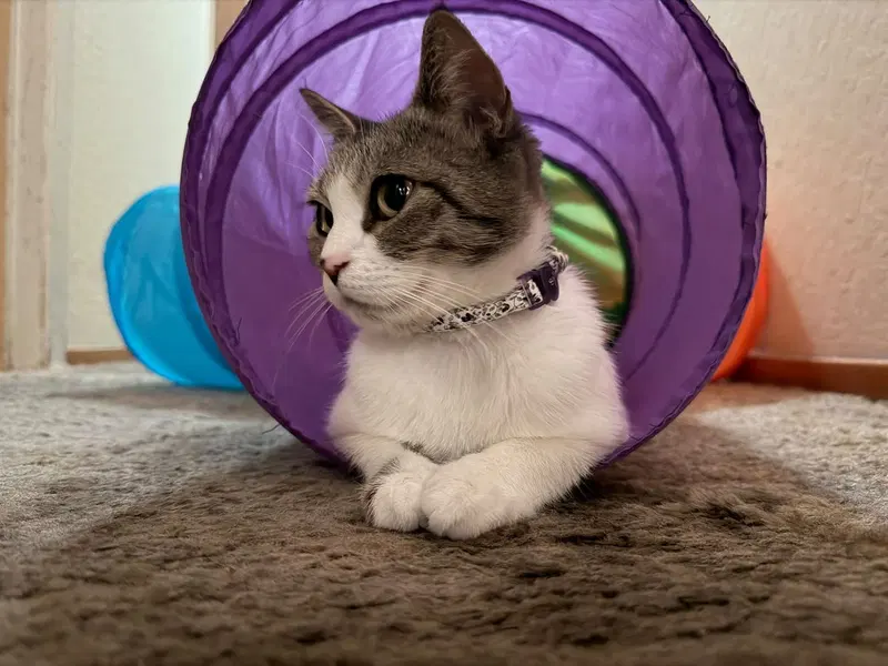Lucille, photo 2