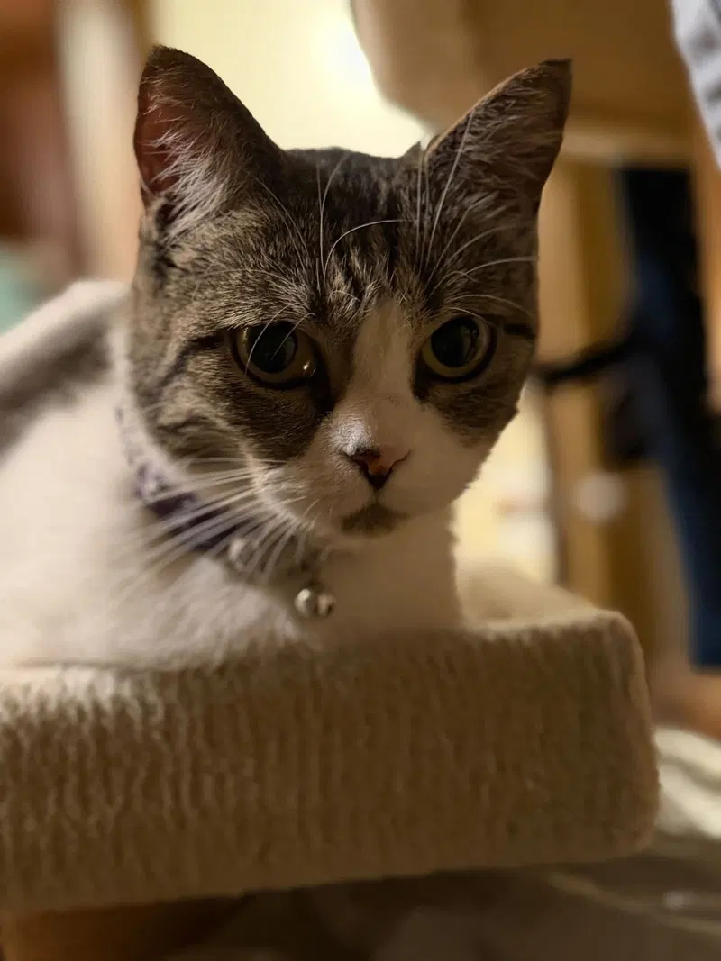 Lucille, photo 5