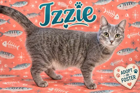 Watch the video of Izzie Trainer