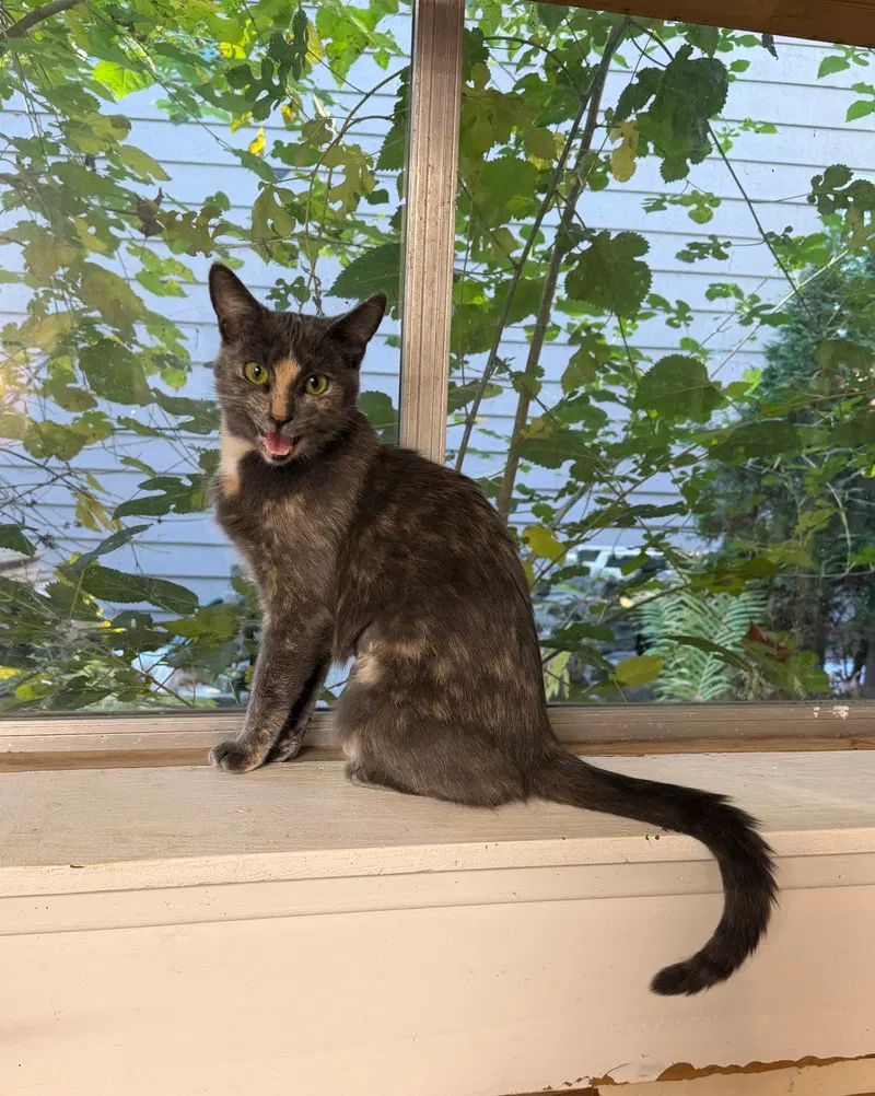 Luna Grace, photo 3