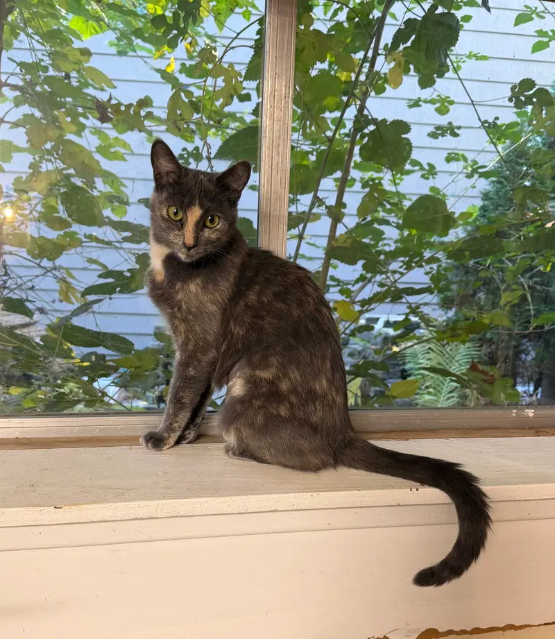 Luna Grace, photo 2