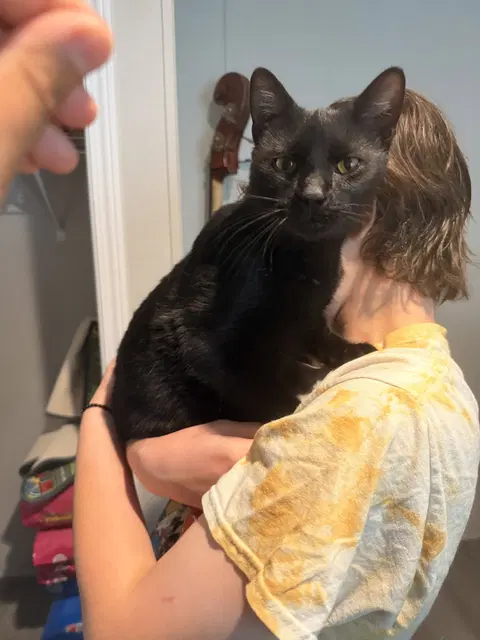 Watch the video of Bruce