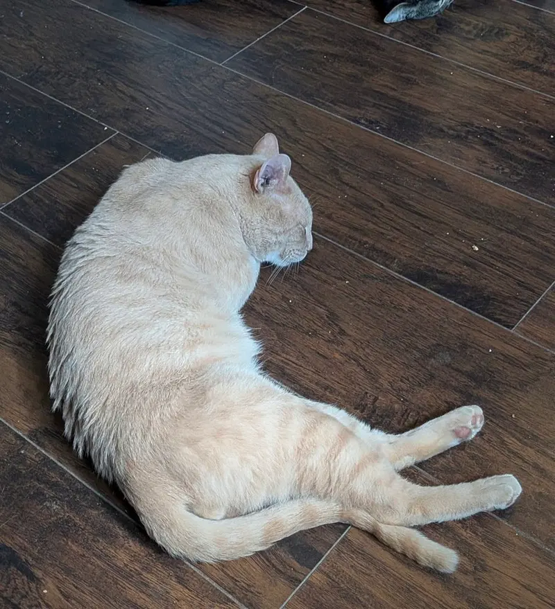 Billy, photo 2