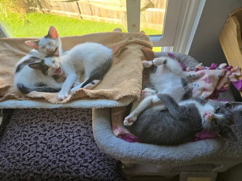 Agnes & Rosie, photo 3