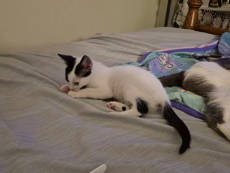 Agnes & Rosie, photo 5