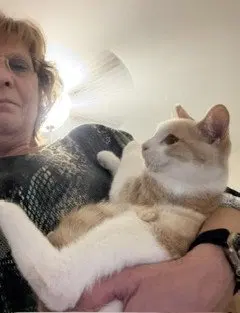 Mike, a male cat up for adoption