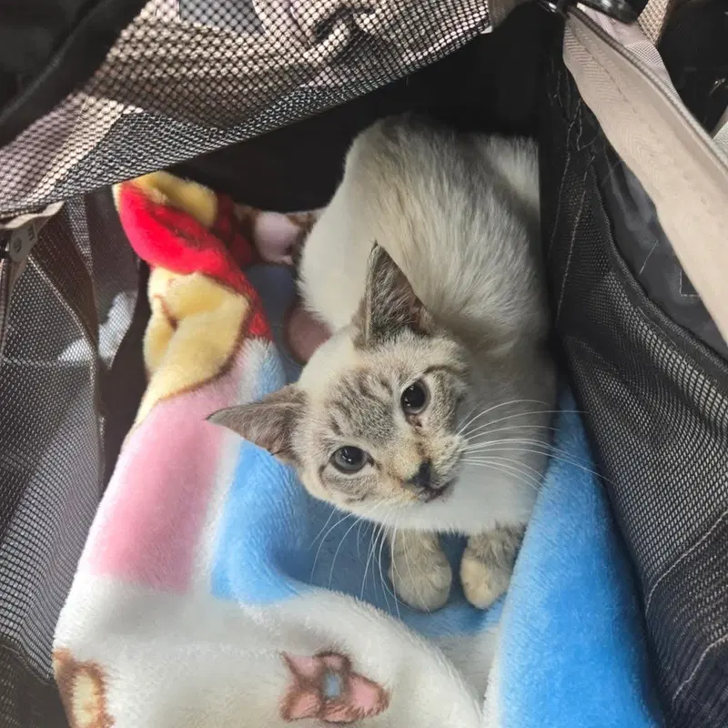 Casper, photo 3