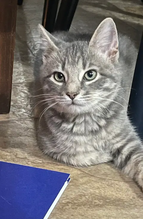 Watch the video of Abby