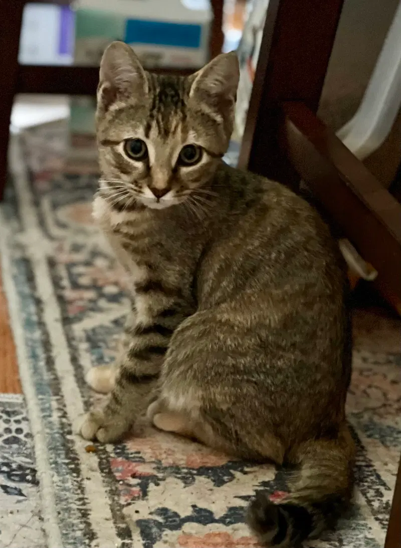 Zoe, photo 2