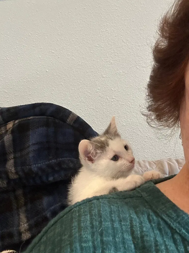 Delilah, photo 3